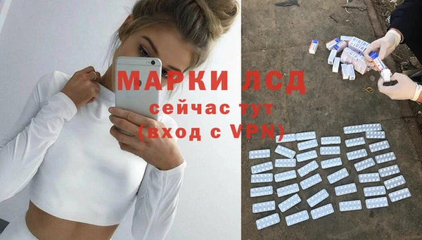 PSILOCYBIN Абаза