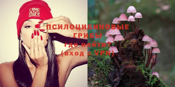 прущие крисы Абинск