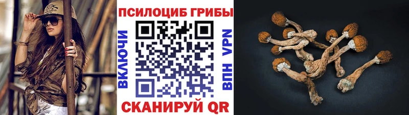 МЕГА рабочий сайт  Нижневартовск  Псилоцибиновые грибы Psilocybe  купить  цена 